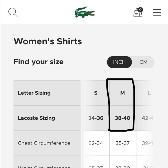 LACOSTE • Purple Women’s Polo Size 38/M - Picture 4 of 4